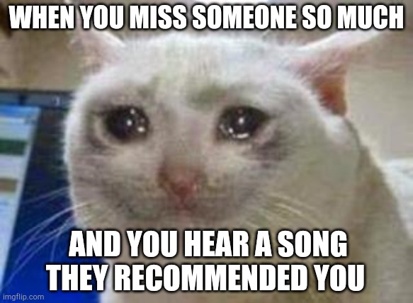 Sad cat | WHEN YOU MISS SOMEONE SO MUCH; AND YOU HEAR A SONG THEY RECOMMENDED YOU | image tagged in sad cat | made w/ Imgflip meme maker