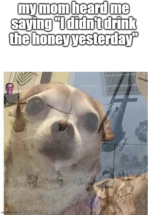 all because of honey | my mom heard me saying "I didn't drink the honey yesterday" | image tagged in ptsd chihuahua | made w/ Imgflip meme maker