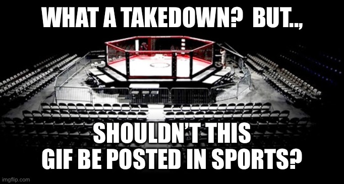 MMA Octagon | WHAT A TAKEDOWN?  BUT.., SHOULDN’T THIS GIF BE POSTED IN SPORTS? | image tagged in mma octagon | made w/ Imgflip meme maker