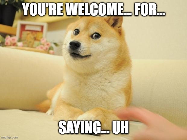 Doge 2 Meme | YOU'RE WELCOME... FOR... SAYING... UH | image tagged in memes,doge 2 | made w/ Imgflip meme maker