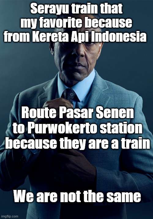 Seayu if only in 1990s | Serayu train that my favorite because from Kereta Api Indonesia; Route Pasar Senen to Purwokerto station because they are a train; We are not the same | image tagged in gus fring we are not the same,memes | made w/ Imgflip meme maker