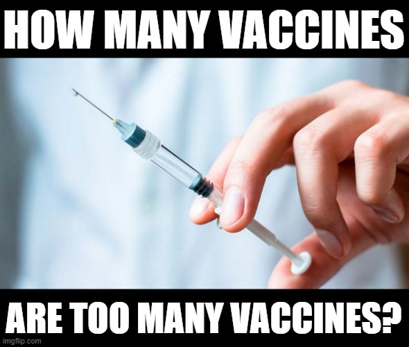 The Real Question | HOW MANY VACCINES; ARE TOO MANY VACCINES? | image tagged in memes,politics,vaccines,how,many,too many | made w/ Imgflip meme maker