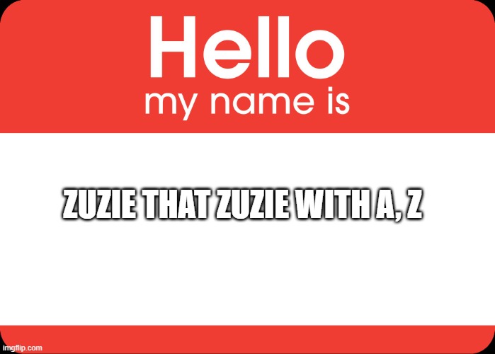 Hello My Name Is | ZUZIE THAT ZUZIE WITH A, Z | image tagged in hello my name is | made w/ Imgflip meme maker