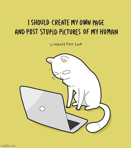 A Cat's Way Of Thinking | image tagged in memes,comics,cats,website,post,human | made w/ Imgflip meme maker