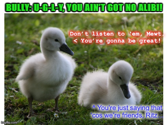 Being an ugly duckling is worth the hardship ^_^ |  BULLY: U-G-L-Y, YOU AIN’T GOT NO ALIBI! Don’t listen to ‘em, Mewt.
< You’re gonna be great! ^ You’re just saying that
‘cos we’re friends, Ritz… | image tagged in feel good,fairy tales,final fantasy | made w/ Imgflip meme maker