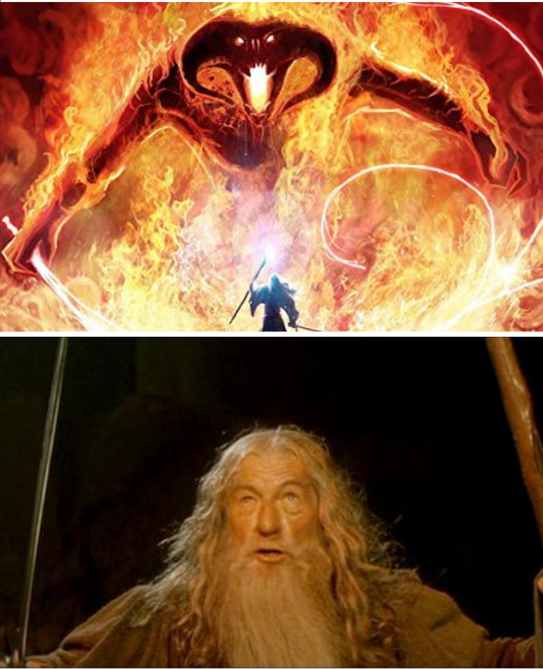 Gandalf vs Balrog Blank Meme Template