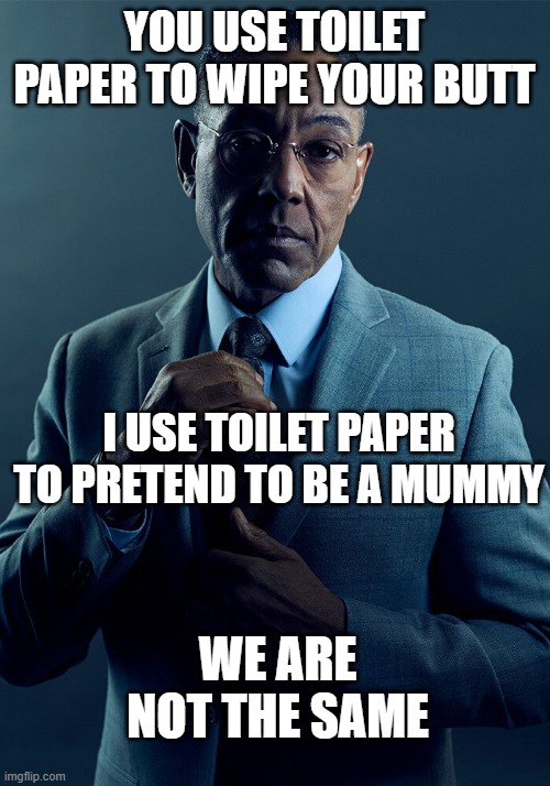 Toilet paper | YOU USE TOILET PAPER TO WIPE YOUR BUTT; I USE TOILET PAPER TO PRETEND TO BE A MUMMY; WE ARE NOT THE SAME | image tagged in gus fring we are not the same,toilet humor,memes | made w/ Imgflip meme maker