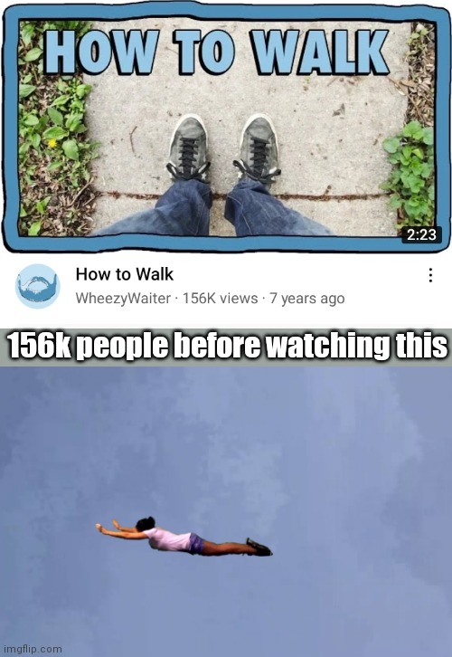 Flying | 156k people before watching this | image tagged in funny,funny memes,walking,fun,lolol,trololol | made w/ Imgflip meme maker