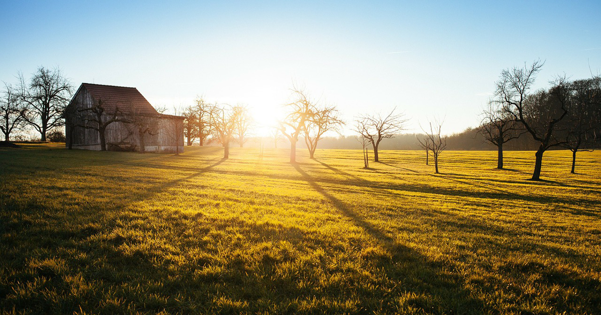 High Quality Farm sunrise Blank Meme Template