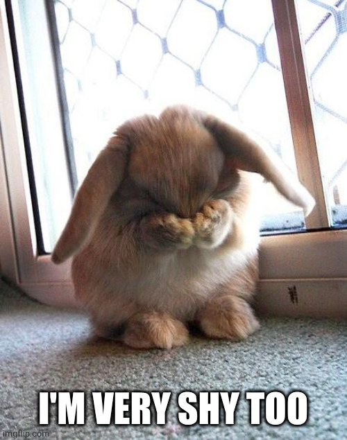 embarrassed bunny | I'M VERY SHY TOO | image tagged in embarrassed bunny | made w/ Imgflip meme maker