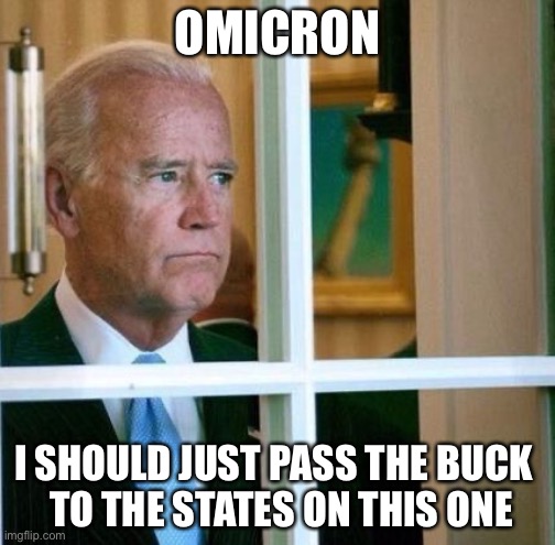 Sad Joe Biden | OMICRON; I SHOULD JUST PASS THE BUCK 
 TO THE STATES ON THIS ONE | image tagged in sad joe biden | made w/ Imgflip meme maker