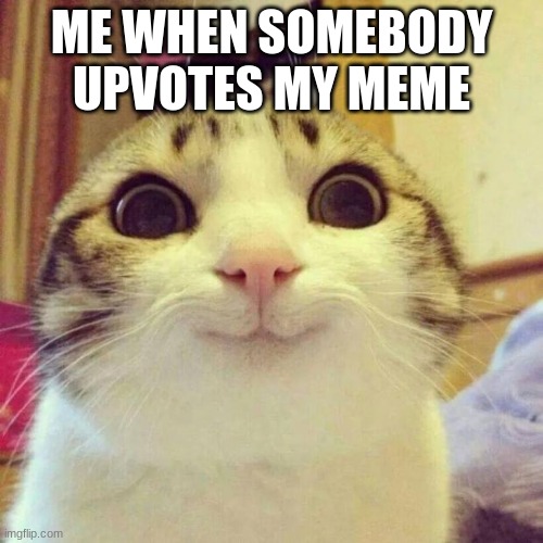 thanks if you upvoted (also im not upvote begging) | ME WHEN SOMEBODY UPVOTES MY MEME | image tagged in memes,smiling cat | made w/ Imgflip meme maker