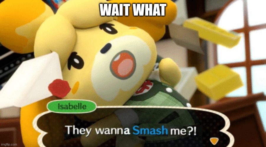 isabelle dont go there | WAIT WHAT | image tagged in they wanna smash me | made w/ Imgflip meme maker