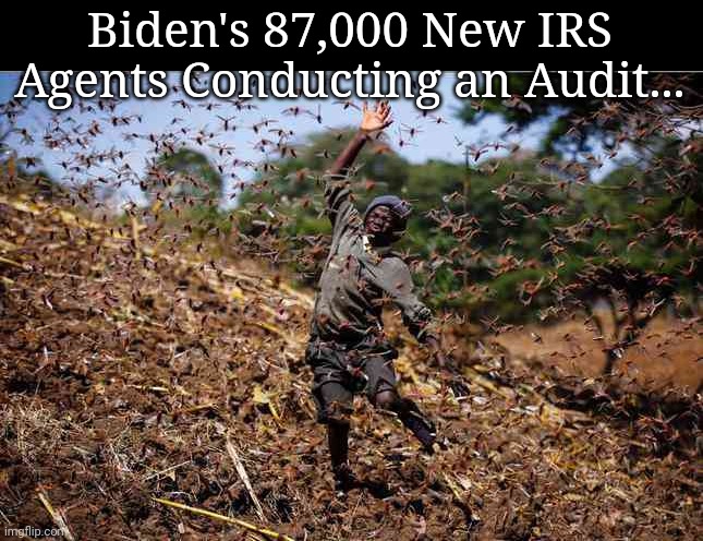 Biden's 87,000 New IRS Agents Conducting am Audit... | Biden's 87,000 New IRS Agents Conducting an Audit... | image tagged in taxation | made w/ Imgflip meme maker