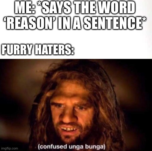 No reasons, no purpose to hate | ME: *SAYS THE WORD ‘REASON’ IN A SENTENCE*; FURRY HATERS: | image tagged in confused unga bunga,furry memes,furry,the furry fandom,haters | made w/ Imgflip meme maker