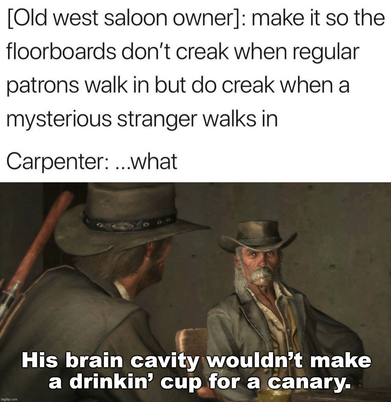 Old west insult |  His brain cavity wouldn’t make 
a drinkin’ cup for a canary. | image tagged in red dead saloon,drinking | made w/ Imgflip meme maker