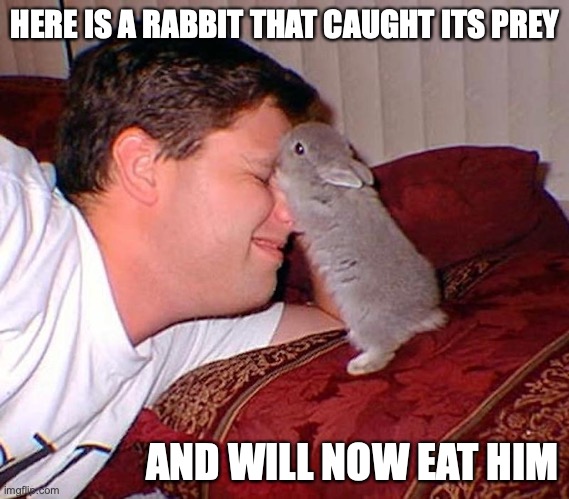 Bunny | HERE IS A RABBIT THAT CAUGHT ITS PREY; AND WILL NOW EAT HIM | image tagged in memes,funny,rabbit | made w/ Imgflip meme maker