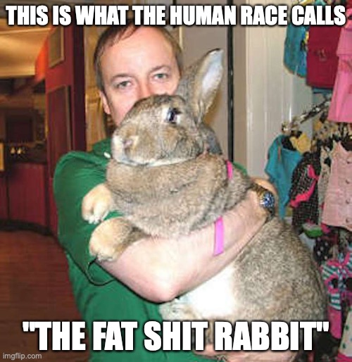 Giant Rabbit | THIS IS WHAT THE HUMAN RACE CALLS; "THE FAT SHIT RABBIT" | image tagged in rabbit,memes | made w/ Imgflip meme maker
