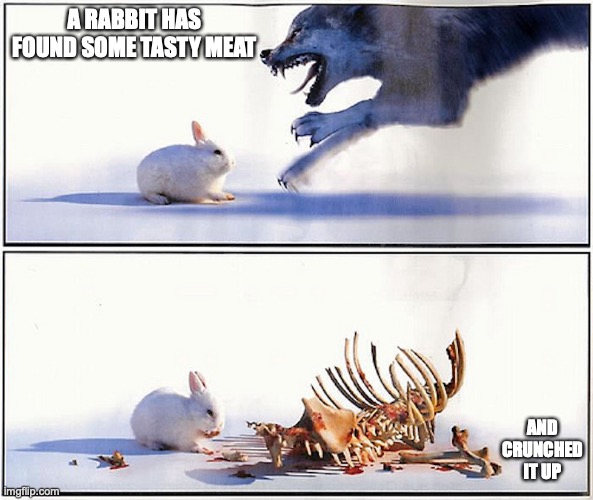 Rabbit Eats Wolf | A RABBIT HAS FOUND SOME TASTY MEAT; AND CRUNCHED IT UP | image tagged in memes,rabbit | made w/ Imgflip meme maker