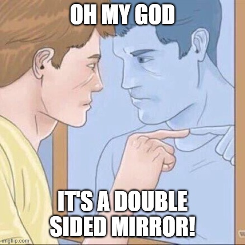 Pointing mirror guy | OH MY GOD; IT'S A DOUBLE SIDED MIRROR! | image tagged in pointing mirror guy | made w/ Imgflip meme maker