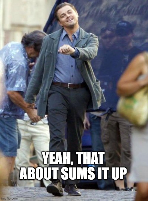 Dicaprio walking | YEAH, THAT ABOUT SUMS IT UP | image tagged in dicaprio walking | made w/ Imgflip meme maker