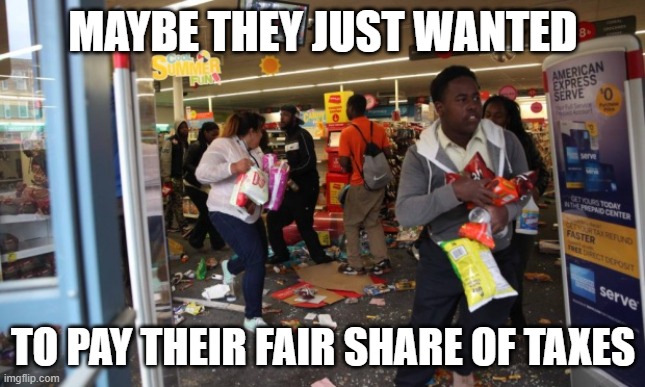 looters | MAYBE THEY JUST WANTED TO PAY THEIR FAIR SHARE OF TAXES | image tagged in looters | made w/ Imgflip meme maker