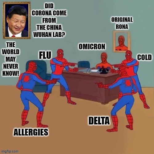 Is it Omicron? Did it come from the Wuhan Lab? | DID CORONA COME FROM THE CHINA WUHAN LAB? THE WORLD MAY NEVER KNOW! | image tagged in coronavirus | made w/ Imgflip meme maker