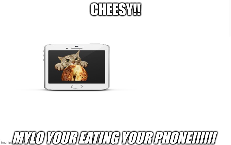 Blank meme template | CHEESY!! MYLO YOUR EATING YOUR PHONE!!!!!! | image tagged in blank meme template | made w/ Imgflip meme maker