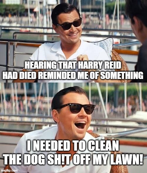 Leonardo Dicaprio Wolf Of Wall Street Meme | HEARING THAT HARRY REID HAD DIED REMINDED ME OF SOMETHING; I NEEDED TO CLEAN THE DOG SH!T OFF MY LAWN! | image tagged in memes,leonardo dicaprio wolf of wall street | made w/ Imgflip meme maker