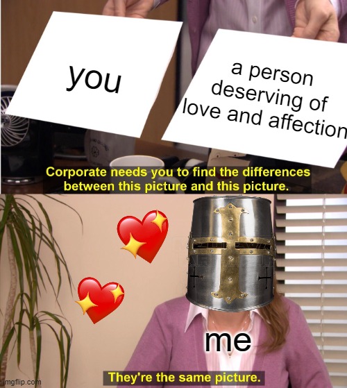 they're the same...ofc they are lol | you; a person deserving of love and affection; me | image tagged in memes,they're the same picture,wholesome,crusader | made w/ Imgflip meme maker
