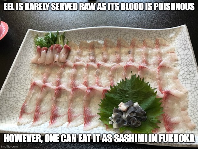 Eel Sashimi | EEL IS RARELY SERVED RAW AS ITS BLOOD IS POISONOUS; HOWEVER, ONE CAN EAT IT AS SASHIMI IN FUKUOKA | image tagged in memes,food | made w/ Imgflip meme maker