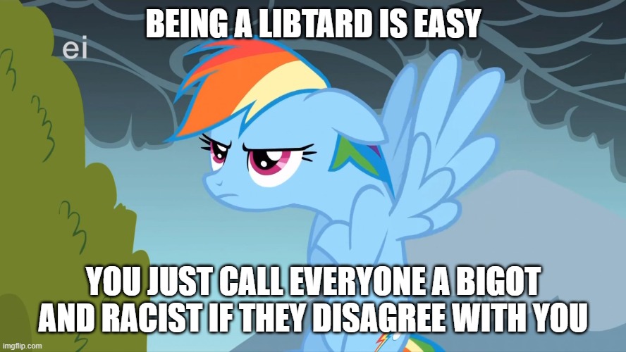 Grumpy Pony | BEING A LIBTARD IS EASY; YOU JUST CALL EVERYONE A BIGOT AND RACIST IF THEY DISAGREE WITH YOU | image tagged in grumpy pony | made w/ Imgflip meme maker