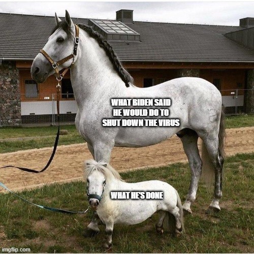 horse and pony | WHAT BIDEN SAID HE WOULD DO TO SHUT DOWN THE VIRUS; WHAT HE'S DONE | image tagged in horse and pony | made w/ Imgflip meme maker