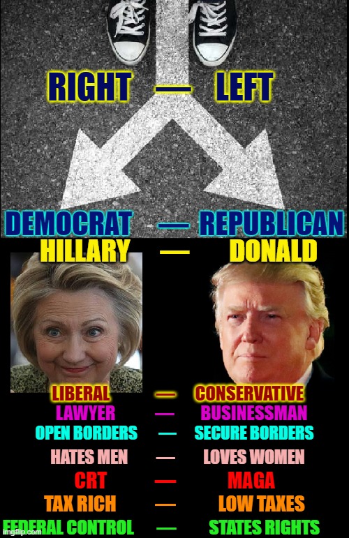 Who Will Be Your Choice? | RIGHT    —    LEFT; DEMOCRAT     —  REPUBLICAN; HILLARY      —        DONALD; LIBERAL              —      CONSERVATIVE; LAWYER            —        BUSINESSMAN; OPEN BORDERS       —      SECURE BORDERS; HATES MEN         —         LOVES WOMEN; CRT             —              MAGA; TAX RICH           —            LOW TAXES; FEDERAL CONTROL       —          STATES RIGHTS | image tagged in vince vance,president trump,donald j trump,hillary clinton,liberal vs conservative,right vs left | made w/ Imgflip meme maker