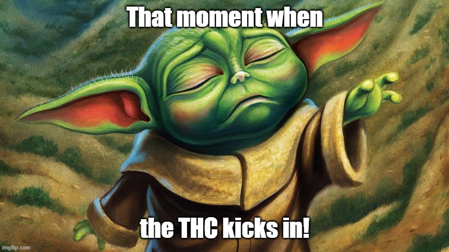 That moment when the THC kicks in! |  That moment when; the THC kicks in! | image tagged in weed,stoned,thc,baked | made w/ Imgflip meme maker