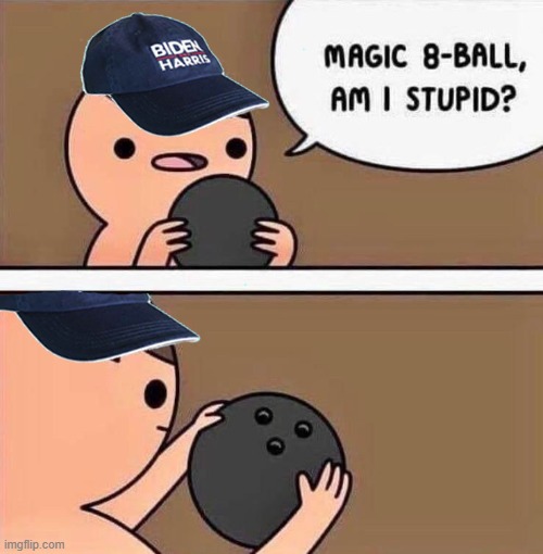 Yes you are | image tagged in stupid liberals | made w/ Imgflip meme maker