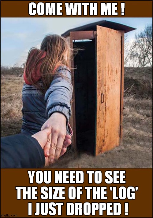 Led To The Loo ! | COME WITH ME ! YOU NEED TO SEE THE SIZE OF THE 'LOG'
 I JUST DROPPED ! | image tagged in toilet humor,size matters,hand in hand,dark humour | made w/ Imgflip meme maker