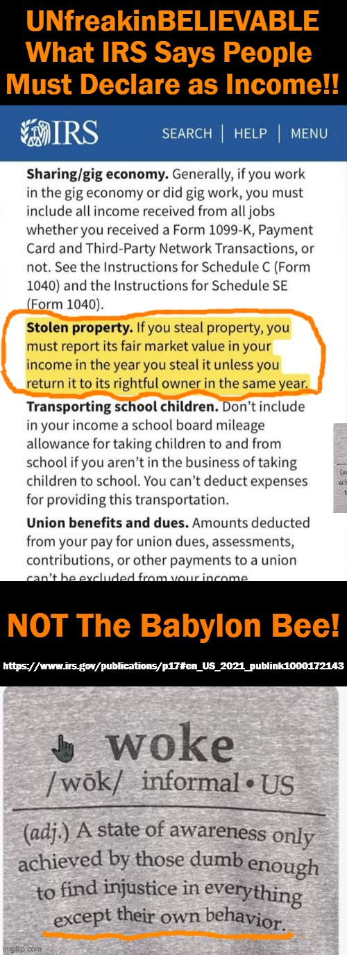 Here Is SOLID PROOF That We Are Dealing w/ Morons With Mental Illness! |  UNfreakinBELIEVABLE
What IRS Says People 
Must Declare as Income!! NOT The Babylon Bee! https://www.irs.gov/publications/p17#en_US_2021_publink1000172143 | image tagged in political meme,liberalism is a mental disorder,liberals vs conservatives,morons,criminals,progressives | made w/ Imgflip meme maker
