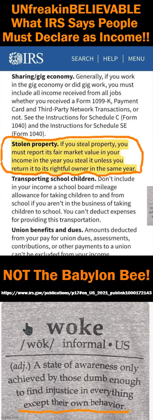 Here Is SOLID PROOF That We Are Dealing w/ Morons With Mental Illness! | UNfreakinBELIEVABLE
What IRS Says People 
Must Declare as Income!! NOT The Babylon Bee! https://www.irs.gov/publications/p17#en_US_2021_publink1000172143 | image tagged in political meme,liberalism is a mental disorder,liberals vs conservatives,morons,criminals,progressives | made w/ Imgflip meme maker