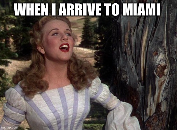 When I Arrive to Miami |  WHEN I ARRIVE TO MIAMI | image tagged in miami,singing | made w/ Imgflip meme maker