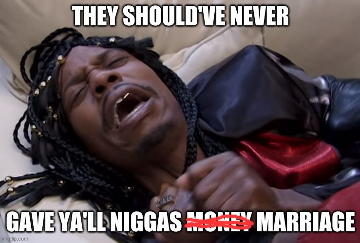 5zet12.jpg