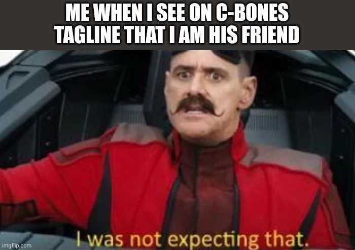 I was not expecting that | ME WHEN I SEE ON C-BONES TAGLINE THAT I AM HIS FRIEND | image tagged in i was not expecting that | made w/ Imgflip meme maker