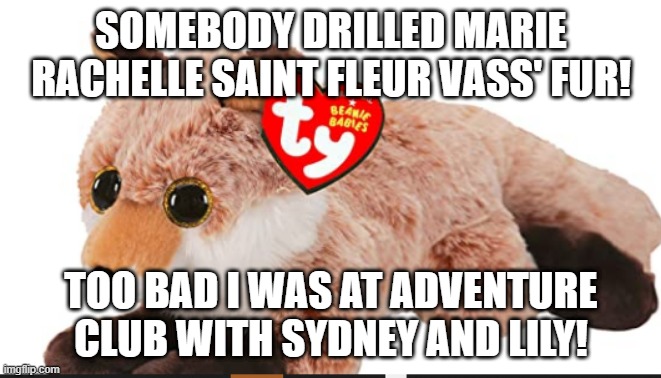 Marie Rachelle Saint Fleur Vass | SOMEBODY DRILLED MARIE RACHELLE SAINT FLEUR VASS' FUR! TOO BAD I WAS AT ADVENTURE CLUB WITH SYDNEY AND LILY! | image tagged in fox,animals | made w/ Imgflip meme maker