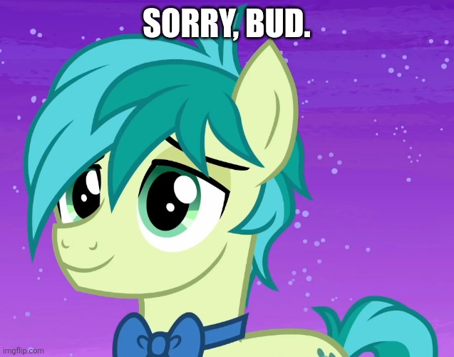 Happy Sandbar (MLP) | SORRY, BUD. | image tagged in happy sandbar mlp | made w/ Imgflip meme maker