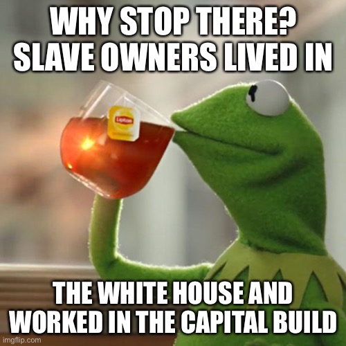 But That's None Of My Business Meme | WHY STOP THERE? SLAVE OWNERS LIVED IN THE WHITE HOUSE AND WORKED IN THE CAPITAL BUILDING | image tagged in memes,but that's none of my business,kermit the frog | made w/ Imgflip meme maker