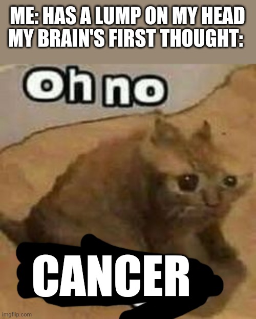 (I don't tho) | ME: HAS A LUMP ON MY HEAD
MY BRAIN'S FIRST THOUGHT:; CANCER | image tagged in oh no cringe | made w/ Imgflip meme maker