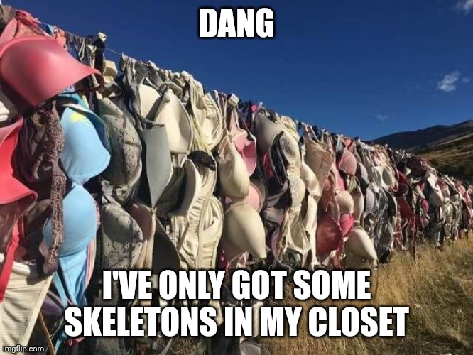 Relationship debris | DANG; I'VE ONLY GOT SOME SKELETONS IN MY CLOSET | image tagged in memes,bra wall | made w/ Imgflip meme maker