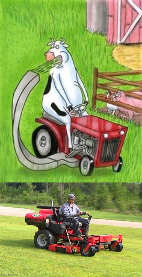 Cow lawnmower | image tagged in landscaper on a riding lawn mower,cows,cow,lawnmower,memes,comics/cartoons | made w/ Imgflip meme maker