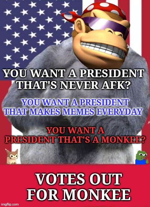 Votes out for Monkee! | YOU WANT A PRESIDENT THAT MAKES MEMES EVERYDAY; YOU WANT A PRESIDENT THAT'S NEVER AFK? YOU WANT A PRESIDENT THAT'S A MONKEE? | image tagged in votes out for monkee,vote,common sense,party | made w/ Imgflip meme maker