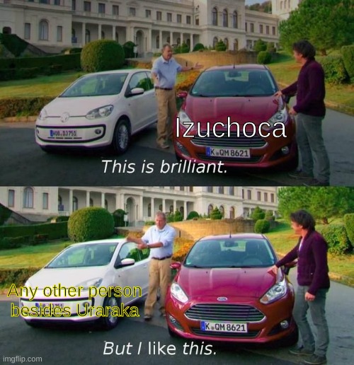 The fandom in a nutshell |  Izuchoca; Any other person besides Uraraka | image tagged in this is brilliant but i like this | made w/ Imgflip meme maker